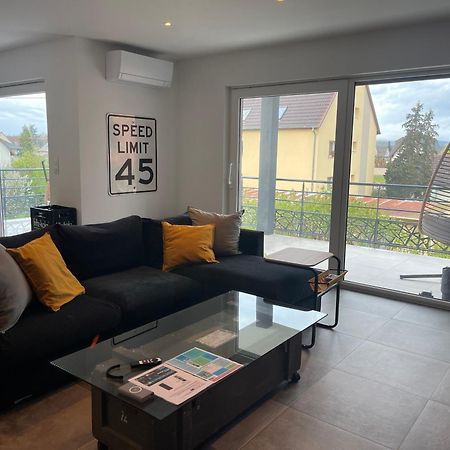 Colmar Appartement Terrasse 10Min Centre Ville Widensolen Exteriér fotografie